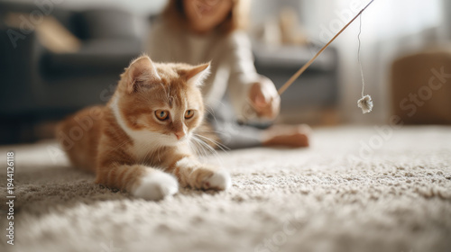 Adorable orange tabby kitten playing with a toy on a fluffy carpet indoors. A young ginger cat with white paws intently watches a dangling toy, ready to pounce on soft rug in cozy home environment