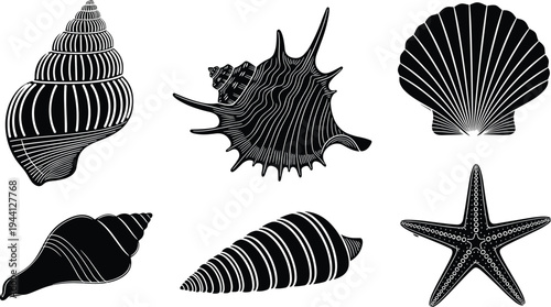 Seashell and starfish silhouettes collection, ocean marine shell shapes beach nature coastal decorative elements set isolated, flat vector illustration