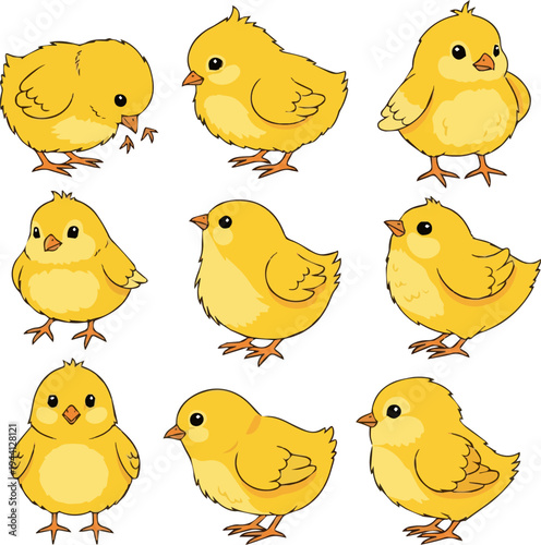 Isolated a realistic kinds of deferent Yellow Chick vector art with white background..