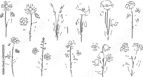 Minimalist Hand-Drawn Wildflower Sketch Vector Set: Artistic Black and White Botanical Illustrations for Nature-Inspired Designs and Creative Projects