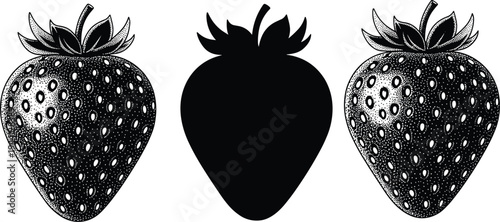strawberry fruit illustration and silhouette set, hand drawn vintage engraving style berry vector, detailed botanical food design isolated