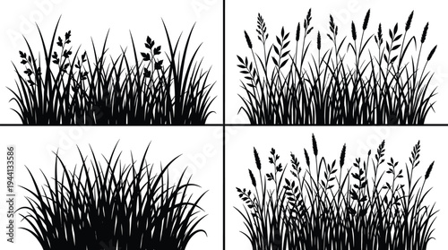 wild grass silhouettes set, meadow plants and field weeds collection for nature landscape decoration borders and design elements, flat vector illustration