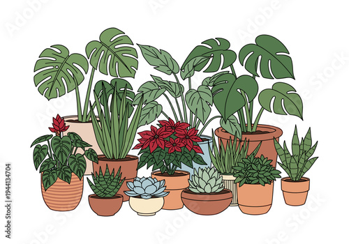 A vibrant collection of potted houseplants in various sizes and styles, creating a lush indoor garden.