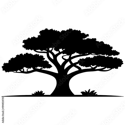 A black silhouette of a tree with a thick trunk and sprawling branches