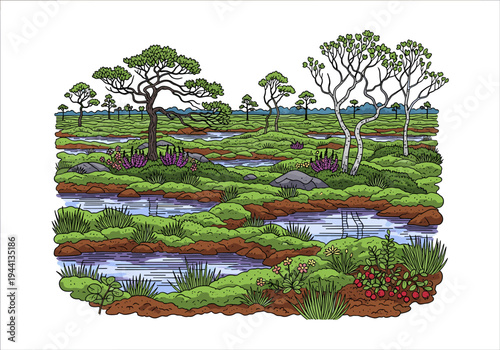 Vibrant cartoon illustration of a lush bog landscape with winding water channels and diverse flora
