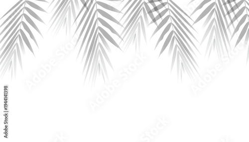 Natural Palm Leaf Shadow Aesthetic Minimalist Summer Overlay with vector illustration