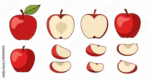 Cartoon red apple fruit vector set with slices wedges and half apple illustration