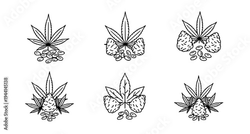 Minimal hemp and cannabis leaf and seed icon pack vector botanical illustration