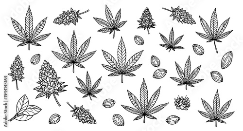 Hemp and cannabis leaf and seed outline icon collection vector botanical
