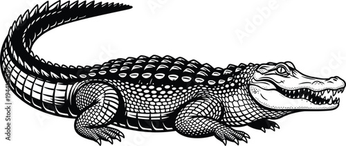 Black and white alligator engraving illustration with detailed scales, fierce reptile predator, vintage tattoo style wildlife vector isolated design