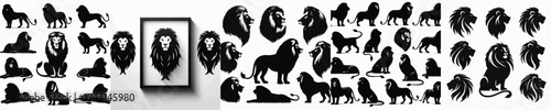 Vector set image silhouette of lion