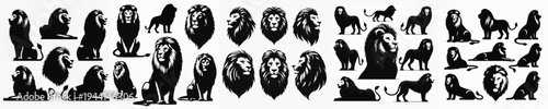 Vector set image silhouette of lion