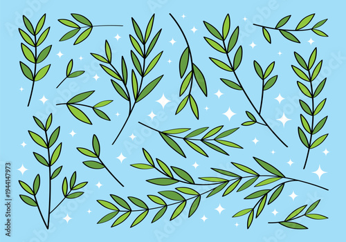 Cute set of hand drawn branches and leaves of bushes and trees. Aesthetic collection of plant icons. Ideal for decorating and framing flyers, greeting cards, stickers, posters, invitations, packaging.