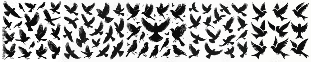 Fototapeta premium Vector set image silhouette of bird