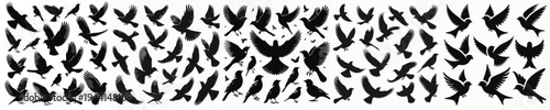 Vector set image silhouette of bird