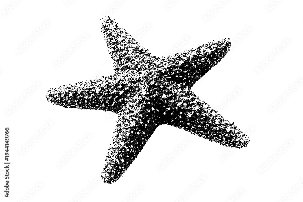 Fototapeta premium Black and white starfish illustration isolated with clipping path.