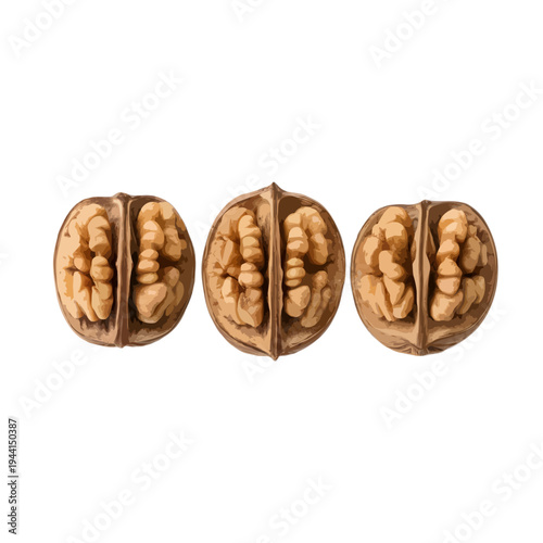 Three whole walnuts with shells on a white background isolated on white background, Vector