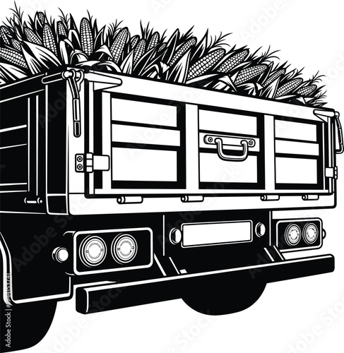 Black and White Dump Truck Loaded with Harvested Corn Cobs Rear View.
