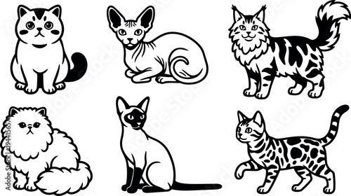 Black and white vector cat illustrations showing six different cat breeds sitting and standing with various fur patterns and body shapes