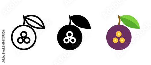 Minimalist berry icons: outline, silhouette, and color styles