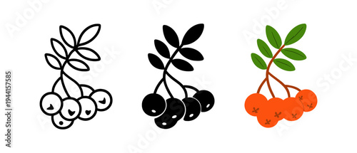 Silhouette and colorful berry branches with leaves on white background