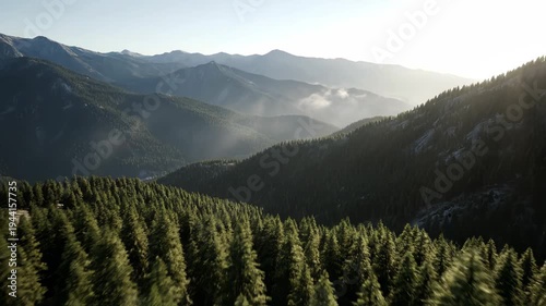Aerial flyover above dense evergreen forest canopy revealing layered mountain ranges with atmospheric haze during bright sunny sunrise, for vastness, wilderness, natural exploration