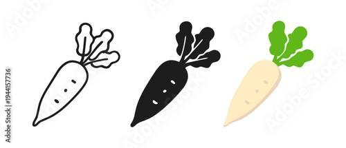Set of carrot designs: outline, solid, and colored versions on white background