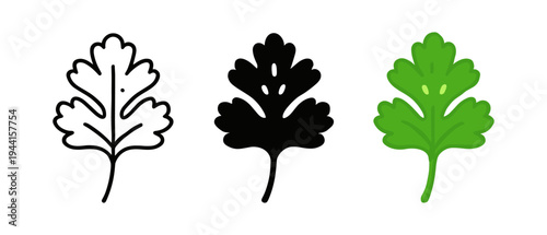 Trio of parsley leaf styles: outline, silhouette, and colorful flat design