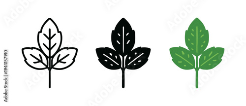 Three variations of mint leaves in linear, silhouette, and colorful styles