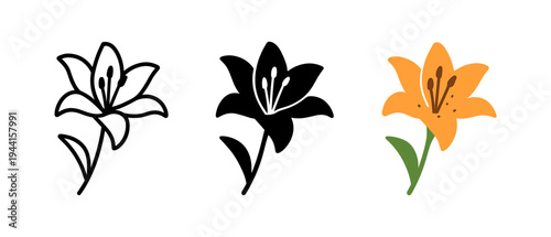 Lily flower trio in outline, silhouette, and color styles