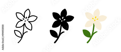 Minimalist floral design in black white and color variations