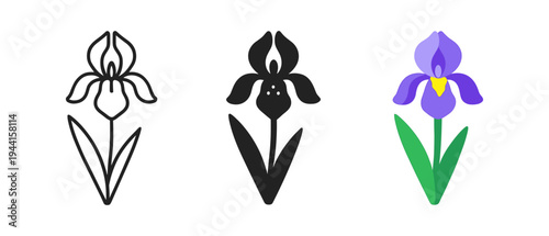 Iris flower in linear, silhouette, and flat styles on white background