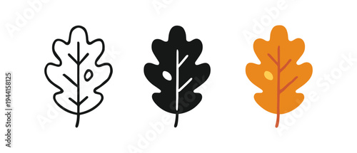 Autumn oak leaves in linear silhouette and flat color styles
