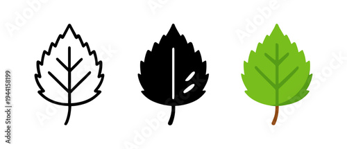 Set of minimalist leaf designs in outline, silhouette, and color styles