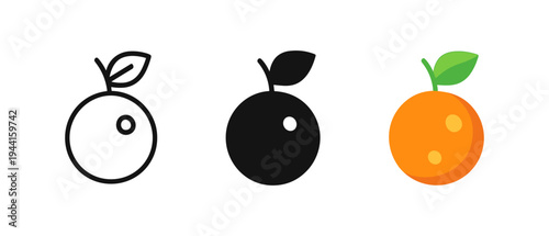 Variety of orange fruit icons in line and solid styles