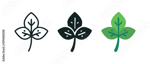 Minimalistic leaf icons in monochrome and color variations for eco design
