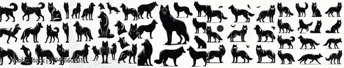 Vector set image silhouette of wolf