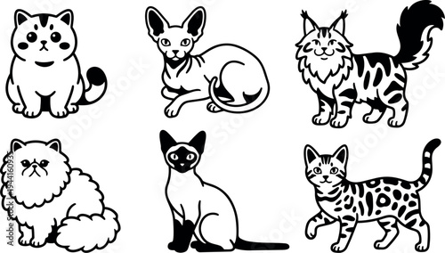 Black and white vector art of six different cat breeds sitting and standing in various playful and relaxed poses with distinct body markings and fur styles
