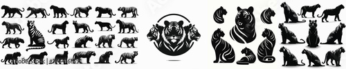 Vector set image silhouette of tiger