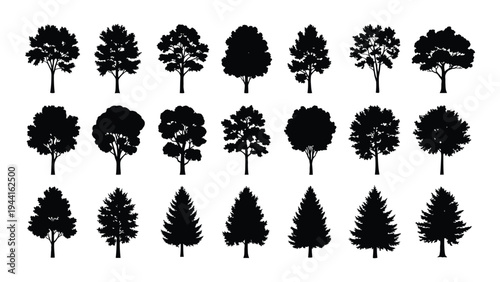 A comprehensive collection of diverse tree silhouettes for design and educational purposes featuring various shapes and forms