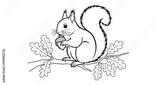 Squirrel Holding an Acorn on Branch
