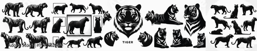 Vector set image silhouette of tiger