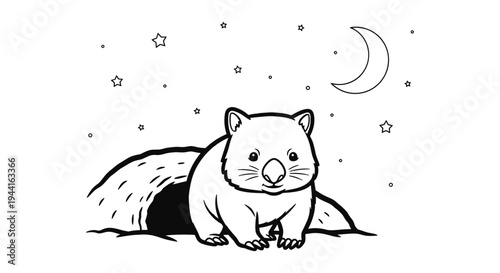 Cute Wombat At Night