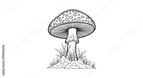 Amanita Muscaria Mushroom Line Art