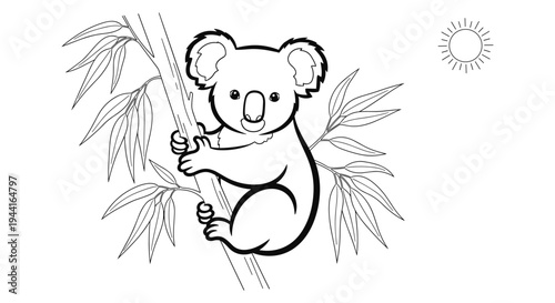 Cute Koala Climbing Eucalyptus Tree