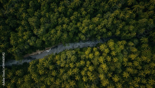 Aerial View of Lush Green Forest with Meandering River