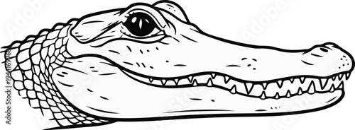 Close-up black and white drawing of an alligator's head with sharp teeth