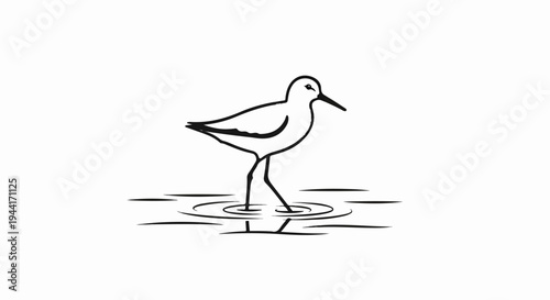Minimalist line drawing of a wading bird standing in shallow water