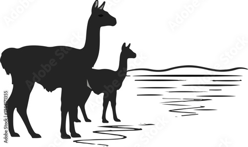 Two black llamas stand near a stylized wavy water scene