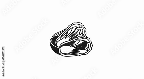 Hand-drawn outline of a leafy vegetable, possibly cabbage or lettuce